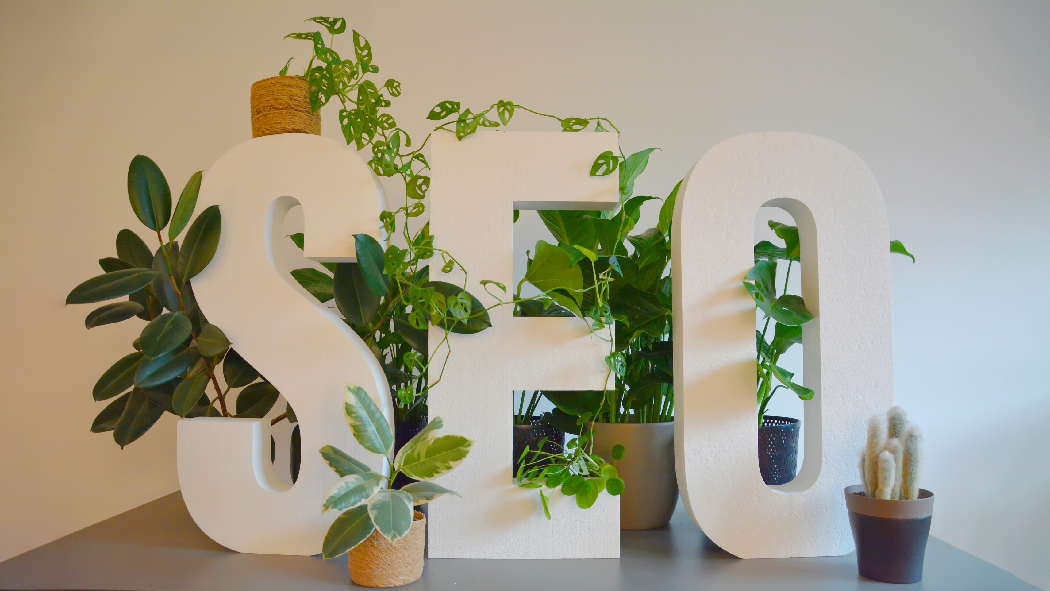 Search Engine Optimization
